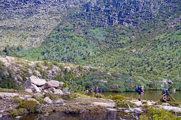 TARN SHELF: The Tarn Shelf is exactly what the label on the tin suggests - a flat shelf of land high among the peaks of Mt Field National Park speckled with gorgeous lakes. The circuit walk across the shelf begins at Lake Dobson - the end of the road into the mountains - climbing past the Mt Mawson ski lodges to emerge into alpine heights. The trail weaves between the lakes of the Tarn Shelf, each one seemingly a different colour and all trimmed with gold in autumn when the deciduous native fagus trees get their glow on. The walk descends past a dilapidated old ski hut on Twilight Tarn before swinging back to Lake Dobson.