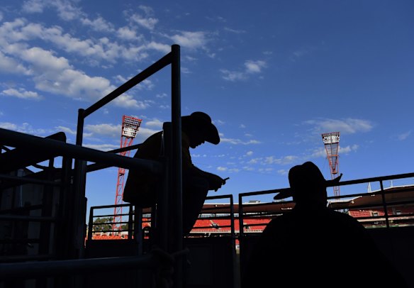 Easter Show Rodeo
