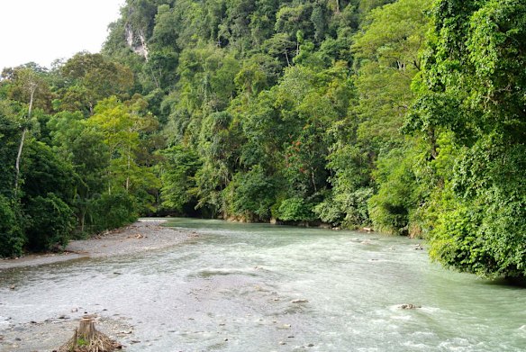 The river bend at Batukatak, near Bukit Lawang, North Sumatra, the potential site of an eco-tourism venture.