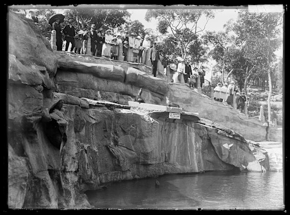 Feeding the seals, Taronga Zoo, February 1917.