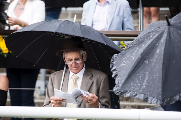 aPunters at the TAB Everest horse race held at Royal Randwick Racecourse on October 13, 2018. Photo: Dominic Lorrimer