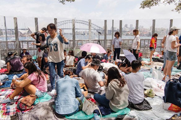 People stake their claim early in the day at Mrs Macquaries Chair.