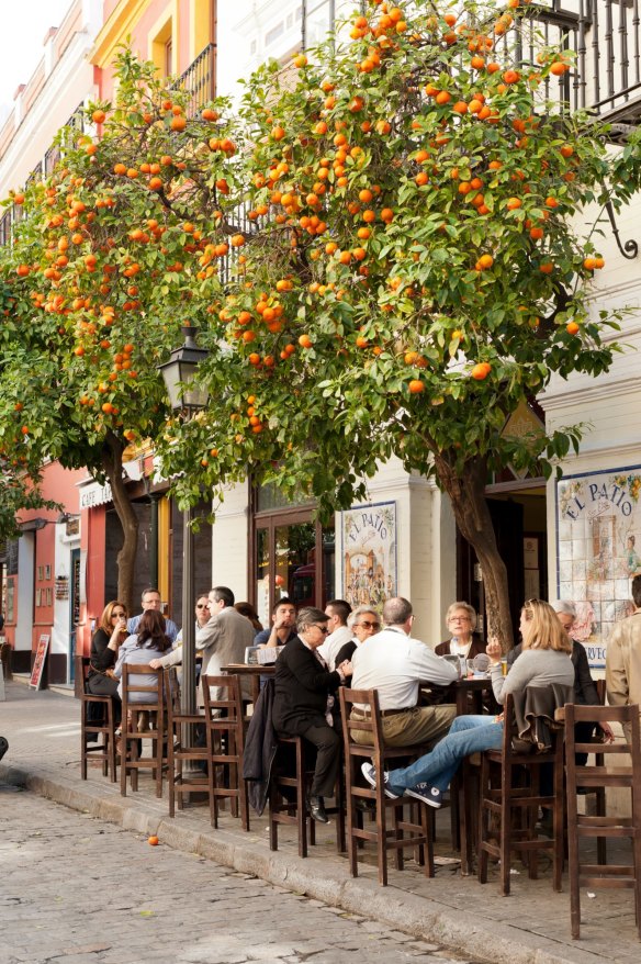 Bask in bar terraces during November in Seville.