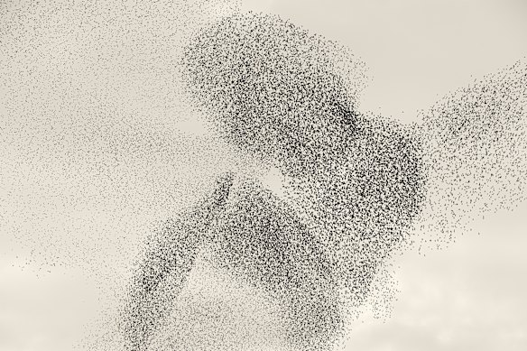 Black Sun #146, Rome.