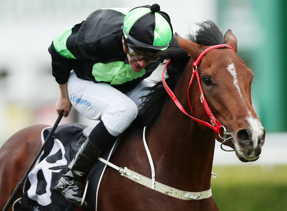 Sam Clipperton drives Stockman to victory at Randwick last year. The pair will combine again in Saturday’s Winter Cup 