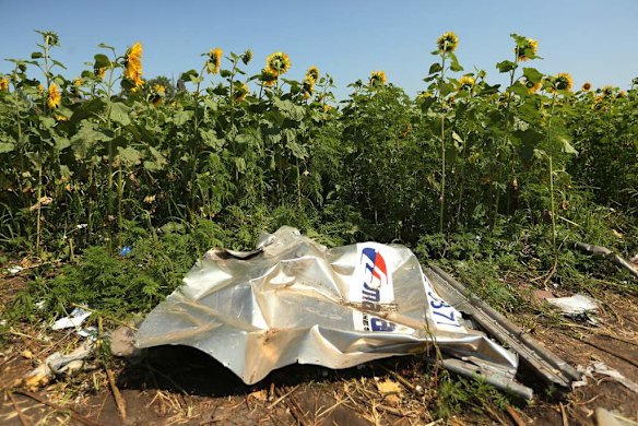 A piece of plane debris at one of the sites where the front section of Malaysian flight MH17 crashed and the pilots bodies where found.