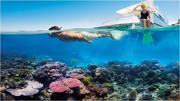Lady Elliot Island, sometimes known as 'Manta Heaven', at the southernmost point of the Great Barrier Reef.