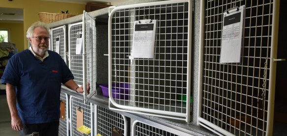 Belmont Avenue Veterinary Hospital partner Paul Pendergast found six cages open and all cats missing on Sunday morning. 