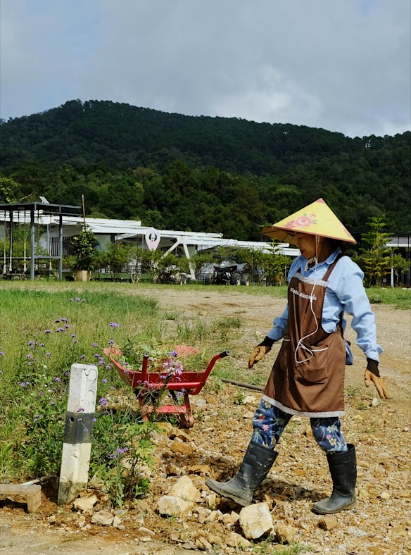 A woman gardening in Ha Giang province, northern Vietnam.