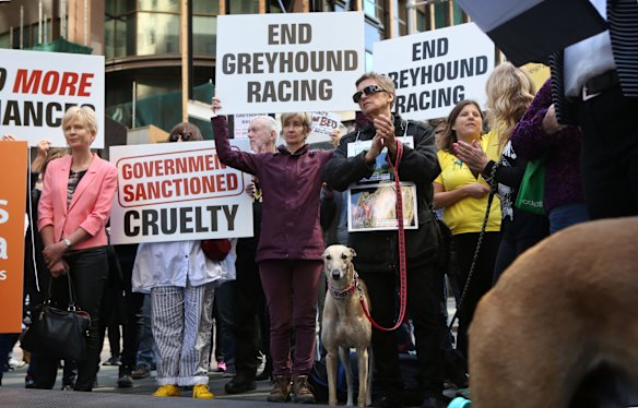 Animal lovers and members of the public join together at Martin Place to protest Mike Baird and the State Government's flipback on their decision earlier this year to ban greyhound racing permanently in NSW.