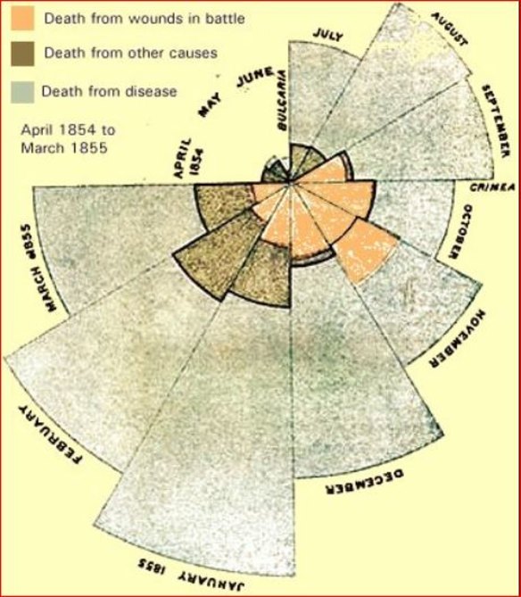 Florence Nightingale used maths and science, such as this polar vector diagram similar to a pie chart,  that showed how many soldiers died in the Crimean War from April 1854 to March 1855.