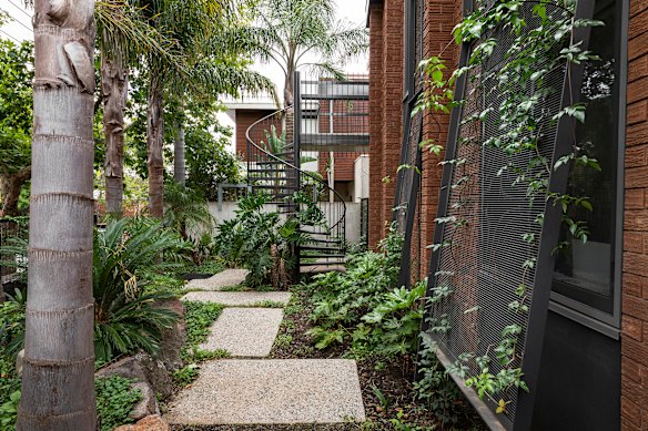 The George Street garden in Fitzroy.