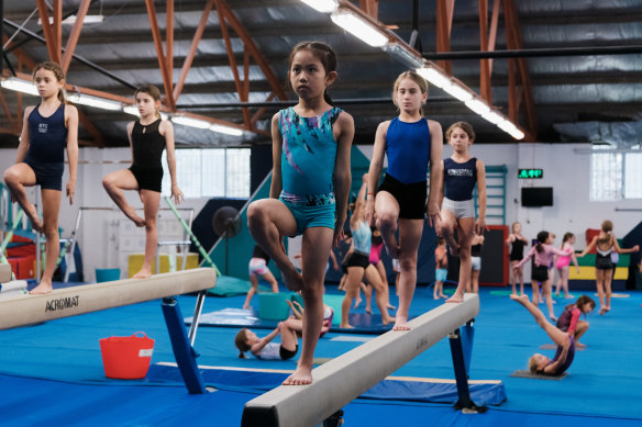 The interests of gymnasts, who are mainly girls, had not been properly considered in the design of the Heffron Centre, according to a community sporting group.