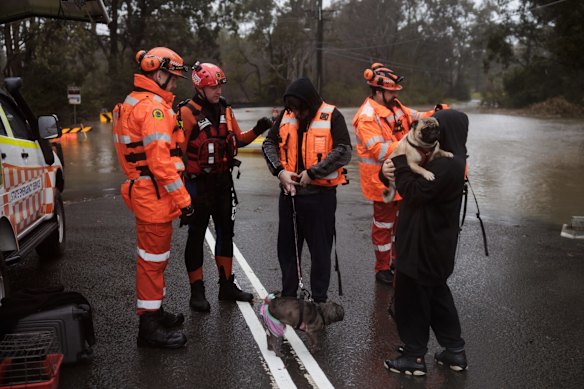Lansvale residents Jack and Jamarcus, along with their pets Hondo and Buffy are evacuated by the NSW SES Kogarah Unit as floodwaters rise along the Georges River.