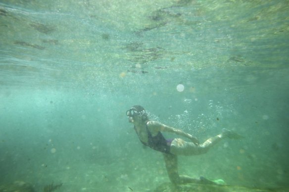 Bathers take refuge from the heat at Maroubra Beach.