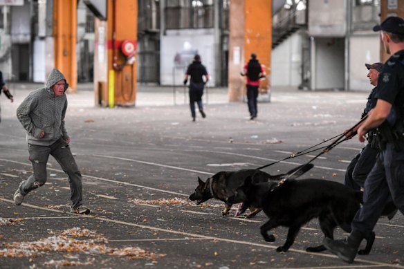 Training demonstration with the Dog Squad division of Victoria Police.