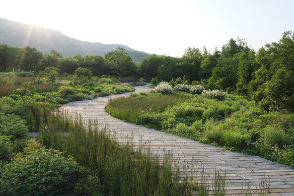 The Meadow Garden in early summer. 