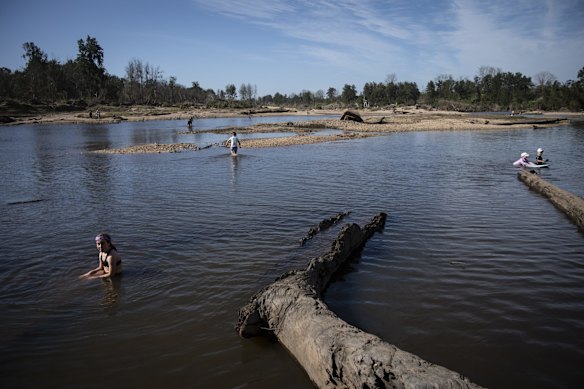 People and dogs cool off at Yarramundi Reserve at Agnes Banks, as temperatures are expected to reach 29 degrees this weekend.