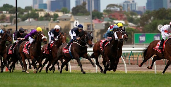 The Melbourne Cup field.