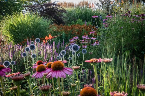 Ralph Bristow’s constantly changing garden will be open to the public in March 2024.