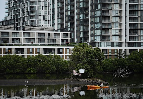 Apartment buildings fill the skyline as a man in his small boat looks at signs asking for the last Island on the Cooks River to be saved. The small island is called Fatima Island in Tempe, Sydney.