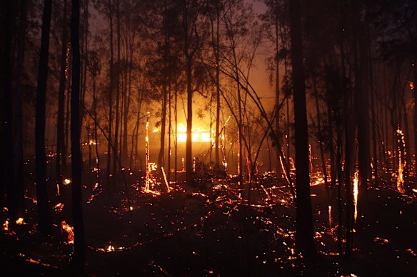 Burning properties in Rainbow Flat after the Hillville Fire broke containment lines and crossed the Pacific Highway. Several homes and countless structures were lost in the area. The remains of a truck is left to burn on the Pacific Highway after fire closed the Highway. 