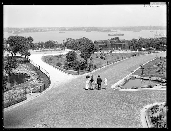 View across Taronga Zoo, February 1917. 