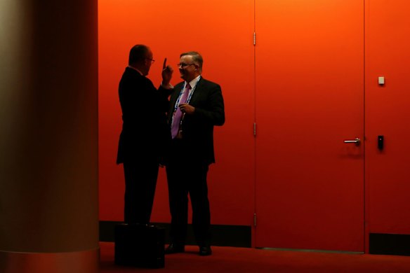 NSW Opposition Leader Luke Foley and Labor MP Anthony Albanese.