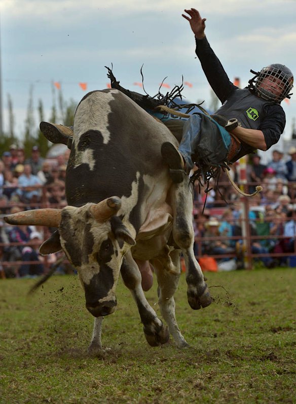 Thrills and Spills From The Lang Lang Rodeo