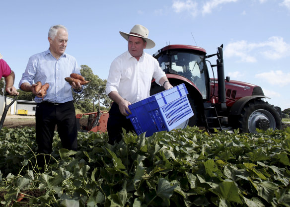 May 26, 2016: Malcolm Turnbull and Barnaby Joyce visit a sweet potato farm with at Gracemere near Rockhampton during 2016 election campaign.