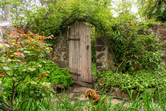 An internal stone wall and gate in the garden of Jen Vardy.