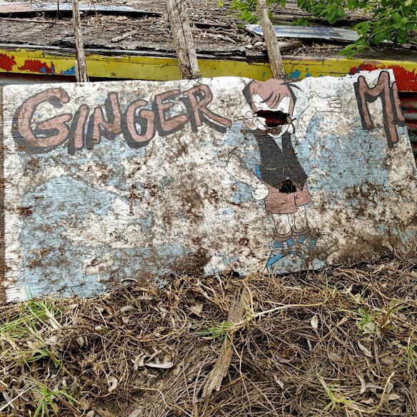 Abandoned theme park Magic Kingdom. 