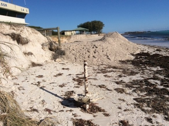 The beach at Grace Darling Park in Lancelin after the sand replenishment in May 2015 which cost $35,000.