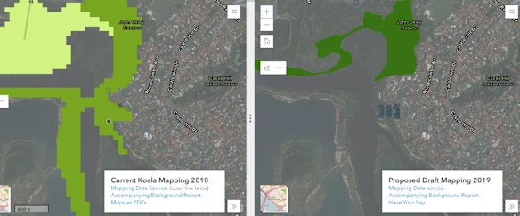 'Half the koalas we rescue would not be protected under new mapping'
