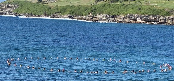 Swimmers form a circle off Malabar beach in honour of Simon Nellist, who was killed by a shark.