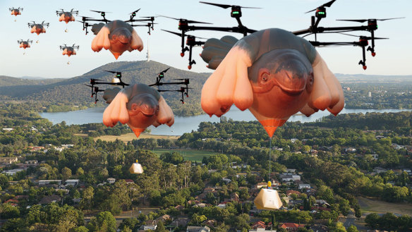 Drones, shaped like the infamous hot air balloon Skywhale, delivering burritos and coffee to your doorstep. One can only dream.... (digitally altered image)