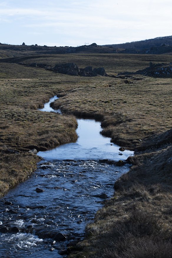 The Eucumbene River, a perennial river of the Snowy River catchment, in the Kiandra area next to the base of Mount Selwyn on August 10, 2020.  The Kianda region is the traditional home to the Walgal people. 