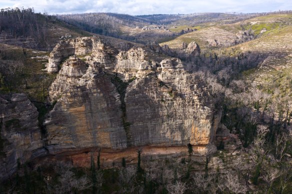 The proposal would extend protection to another 39,000 hectares of land that is mostly under State Forest control.