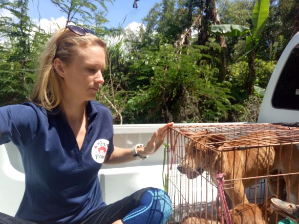 Katherine Polak, from the Four Paws animal-welfare group, which is part of the Dog-Meat Free Indonesia coalition, with a rescued dog.