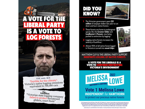 A flyer being letterboxed by teal campaigners in the state seat of Hawthorn.