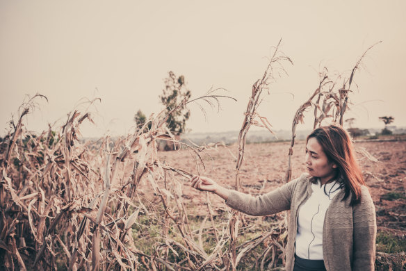 Menopausal hormone fluctuations can have a significant impact on women’s mental health.