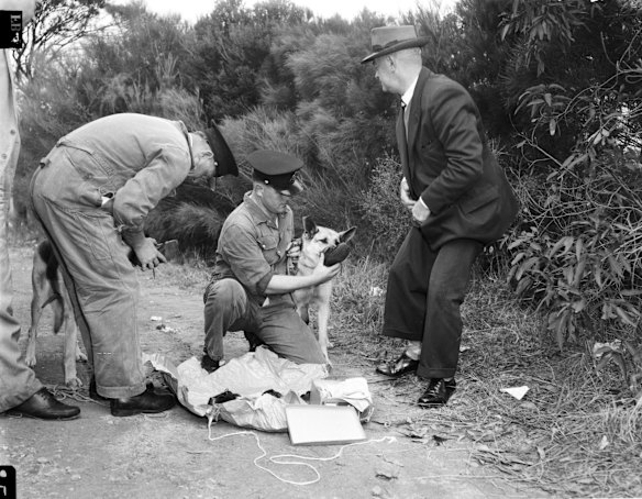 CSI Green Thumbs: Royal Botanic Garden scientists find the culprit