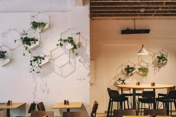 The lush and minimal interiors of Rustica Canteen.