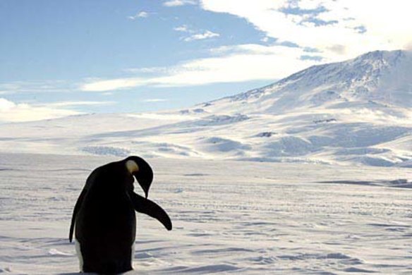 The National Museum of Australia is offering visitors the chance to go to Antarctica ... sort of 