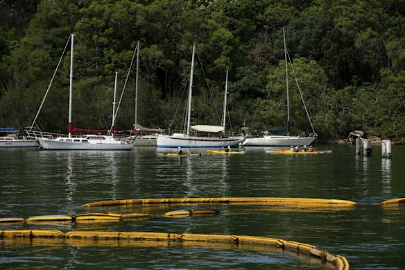 View of Berry Bay in Waverton, Sydney.