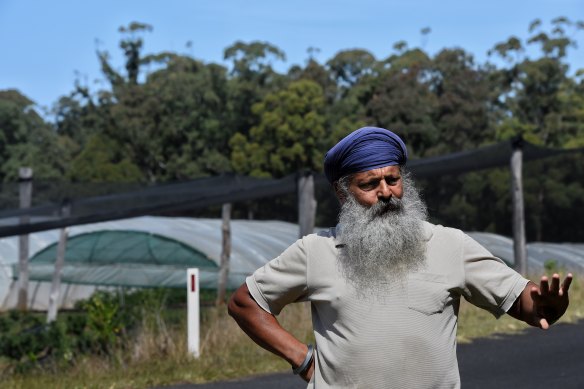 Iqbal Singh Grewal, the owner of a 4-hectare blueberry farm near Sandy Beach, north of Coffs Harbour. 