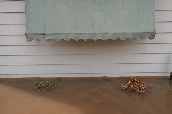 Pot plants under water on the verandah.