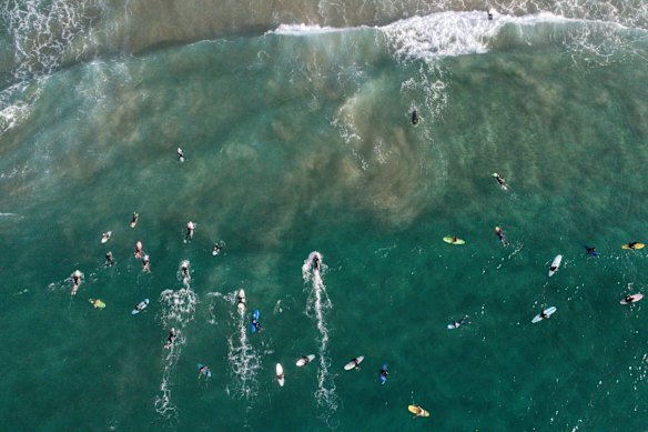 Locals enjoy the reopening of Bondi beach this morning.