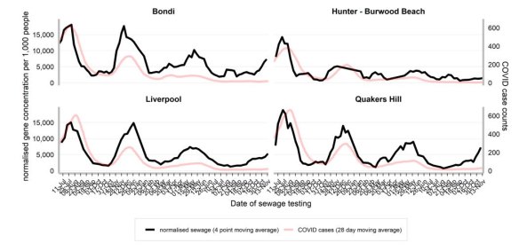 Rising rates of COVID detected in Sydney’s wastewater (black line).