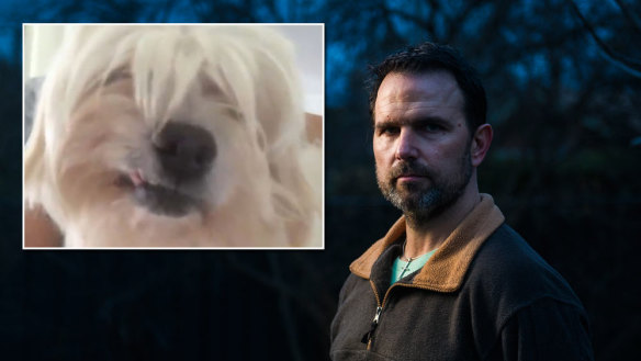 Drago Gvozdanovic, pictured, and his dog, Izzy, that went missing but DAS forced a vet to euthanise it only 24 hours later, despite the policy being 7 days.